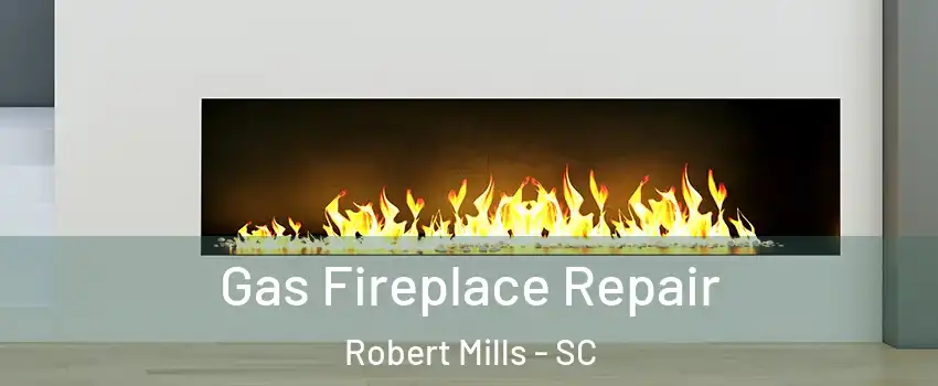 Gas Fireplace Repair Robert Mills - SC