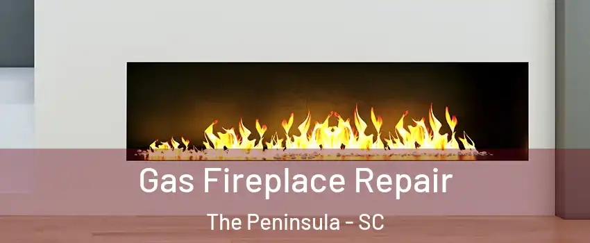 Gas Fireplace Repair The Peninsula - SC