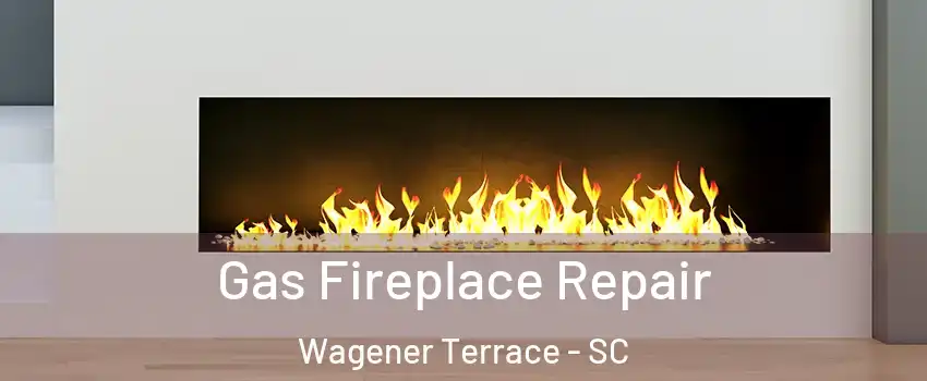 Gas Fireplace Repair Wagener Terrace - SC