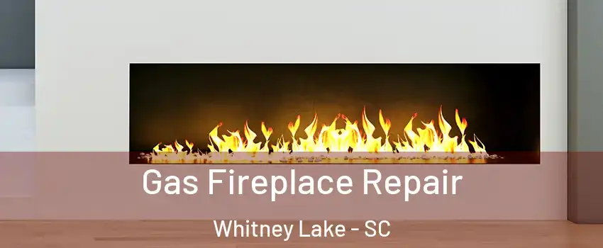 Gas Fireplace Repair Whitney Lake - SC