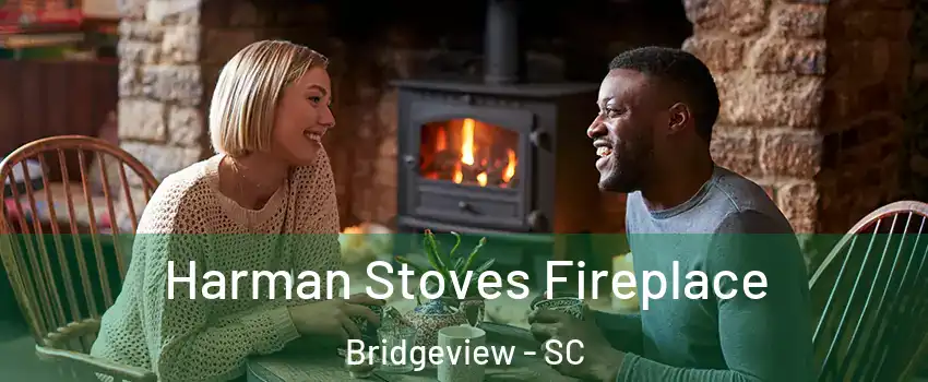 Harman Stoves Fireplace Bridgeview - SC