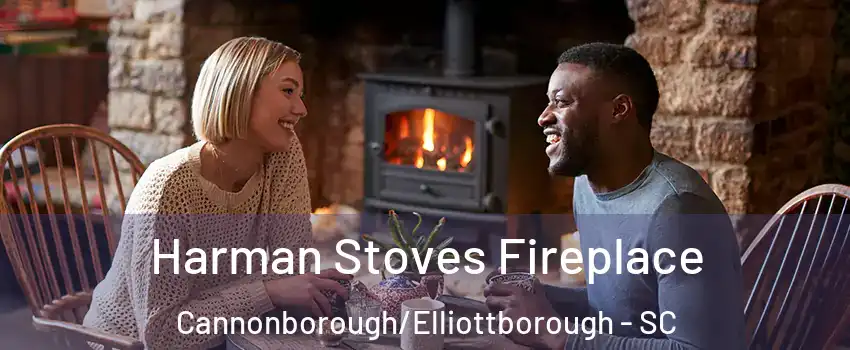 Harman Stoves Fireplace Cannonborough/Elliottborough - SC