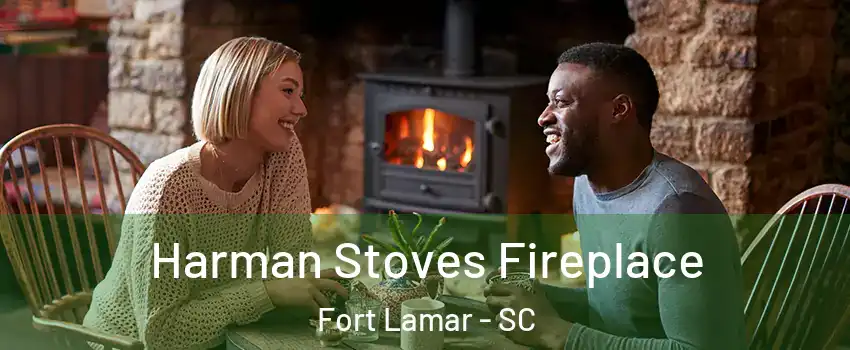 Harman Stoves Fireplace Fort Lamar - SC