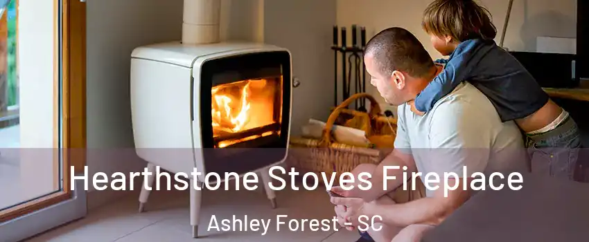 Hearthstone Stoves Fireplace Ashley Forest - SC