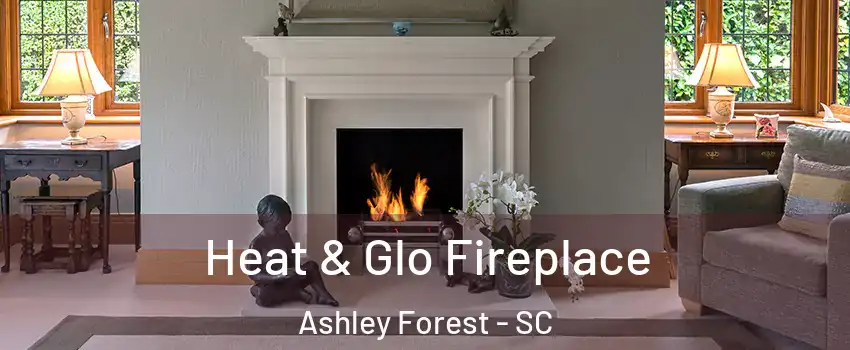 Heat & Glo Fireplace Ashley Forest - SC