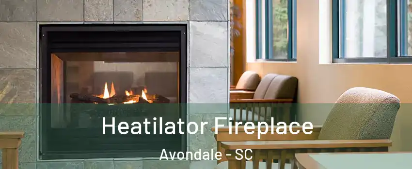 Heatilator Fireplace Avondale - SC