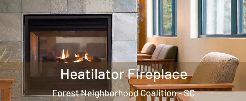 Heatilator Fireplace Forest Neighborhood Coalition - SC