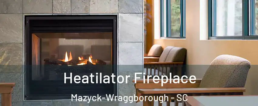 Heatilator Fireplace Mazyck-Wraggborough - SC