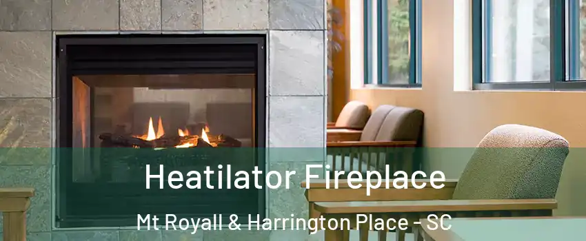 Heatilator Fireplace Mt Royall & Harrington Place - SC