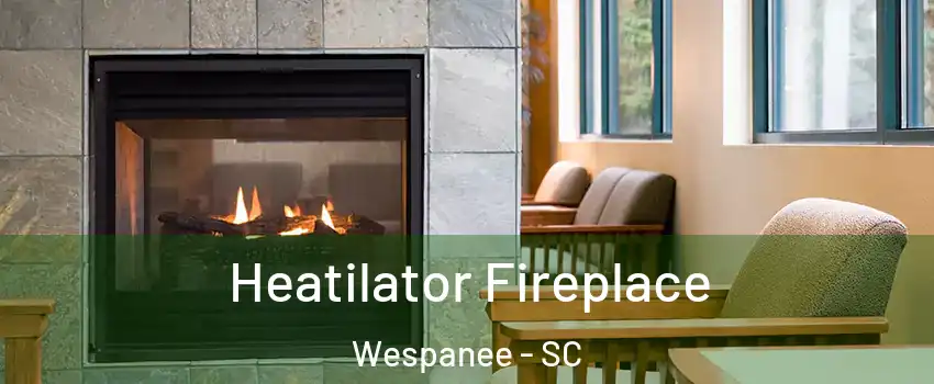 Heatilator Fireplace Wespanee - SC