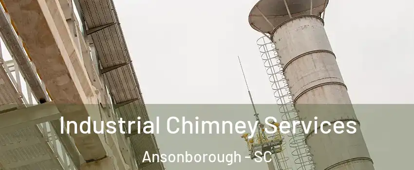 Industrial Chimney Services Ansonborough - SC