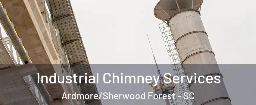 Industrial Chimney Services Ardmore/Sherwood Forest - SC