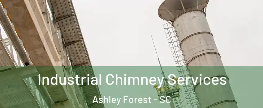 Industrial Chimney Services Ashley Forest - SC