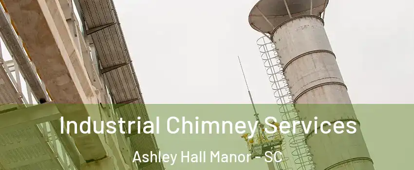 Industrial Chimney Services Ashley Hall Manor - SC