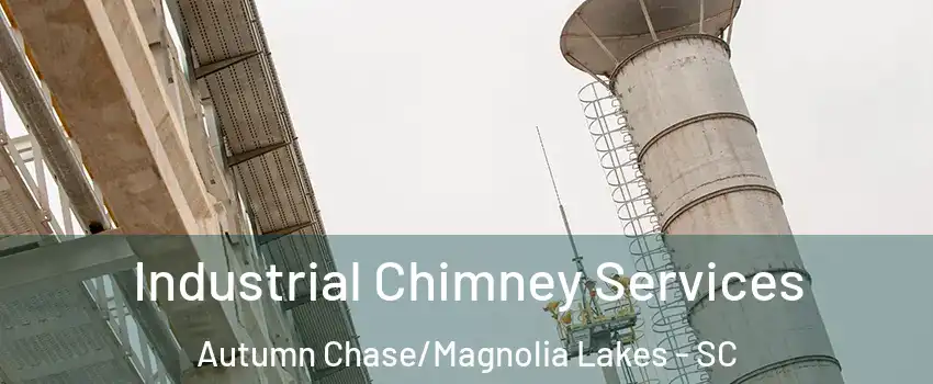 Industrial Chimney Services Autumn Chase/Magnolia Lakes - SC