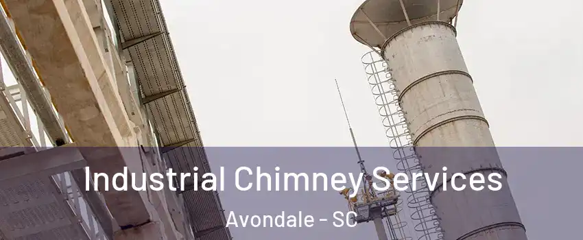 Industrial Chimney Services Avondale - SC