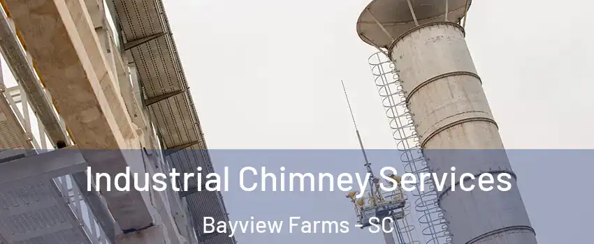 Industrial Chimney Services Bayview Farms - SC