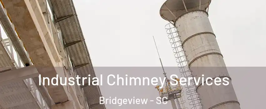 Industrial Chimney Services Bridgeview - SC