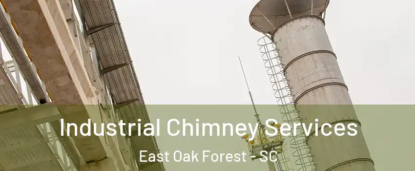 Industrial Chimney Services East Oak Forest - SC