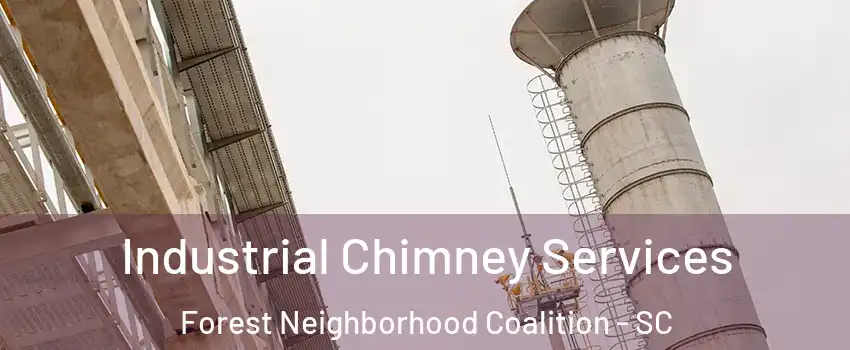 Industrial Chimney Services Forest Neighborhood Coalition - SC