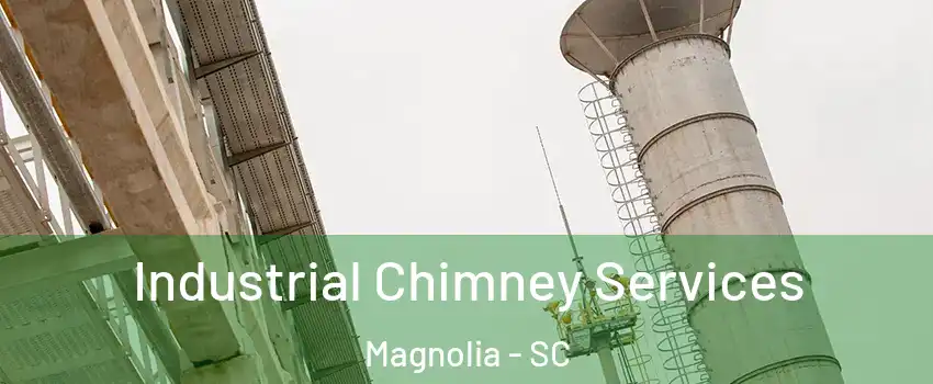 Industrial Chimney Services Magnolia - SC