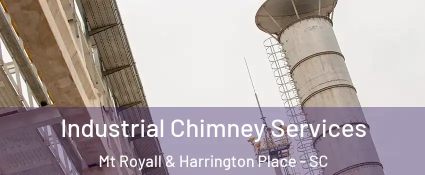 Industrial Chimney Services Mt Royall & Harrington Place - SC