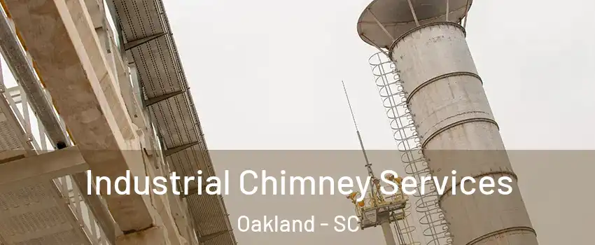 Industrial Chimney Services Oakland - SC