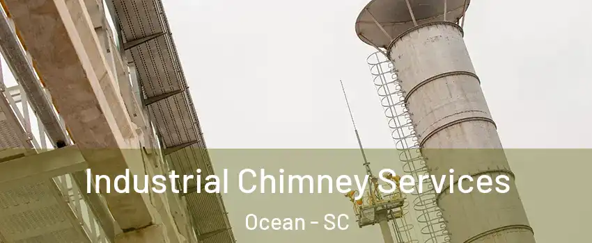 Industrial Chimney Services Ocean - SC