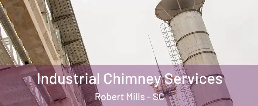 Industrial Chimney Services Robert Mills - SC