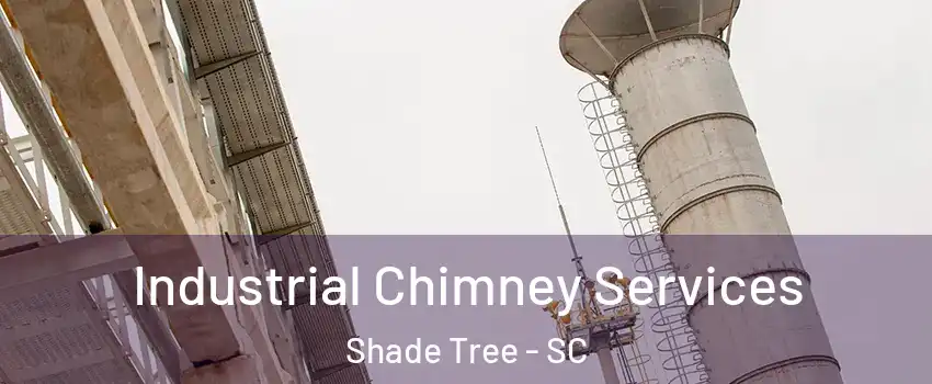 Industrial Chimney Services Shade Tree - SC