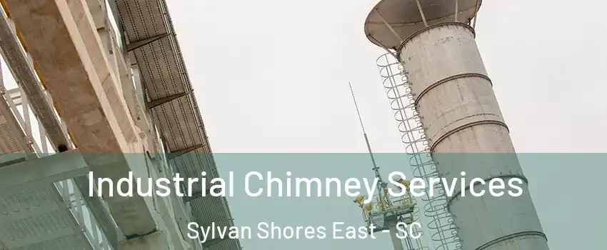 Industrial Chimney Services Sylvan Shores East - SC