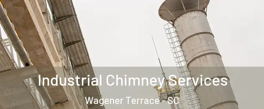 Industrial Chimney Services Wagener Terrace - SC