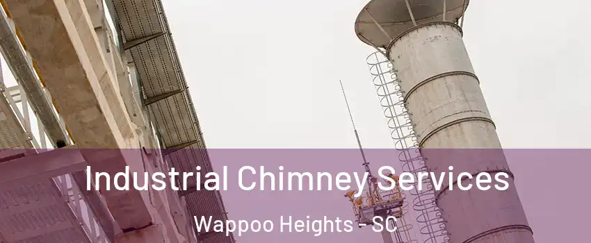 Industrial Chimney Services Wappoo Heights - SC