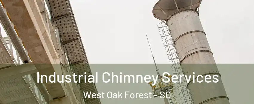 Industrial Chimney Services West Oak Forest - SC