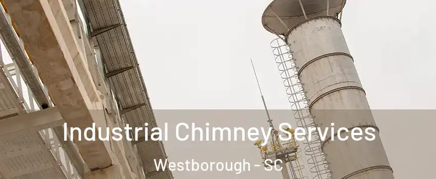 Industrial Chimney Services Westborough - SC