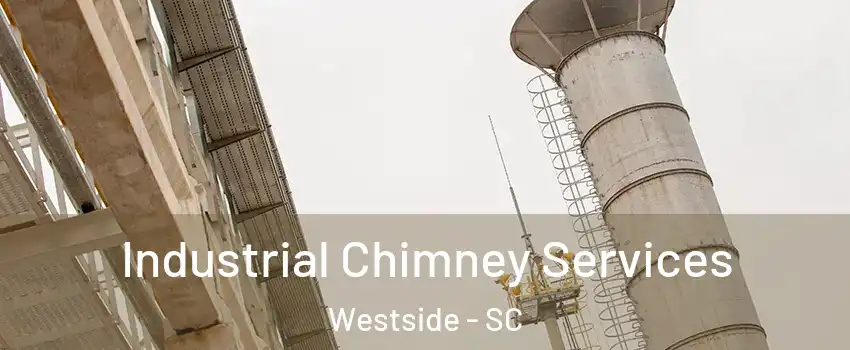 Industrial Chimney Services Westside - SC