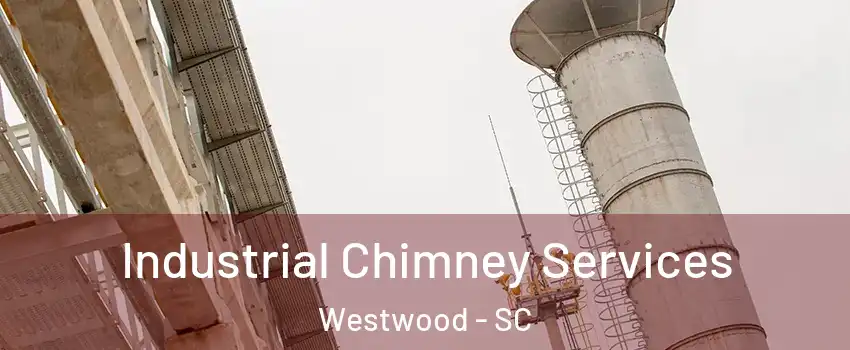 Industrial Chimney Services Westwood - SC