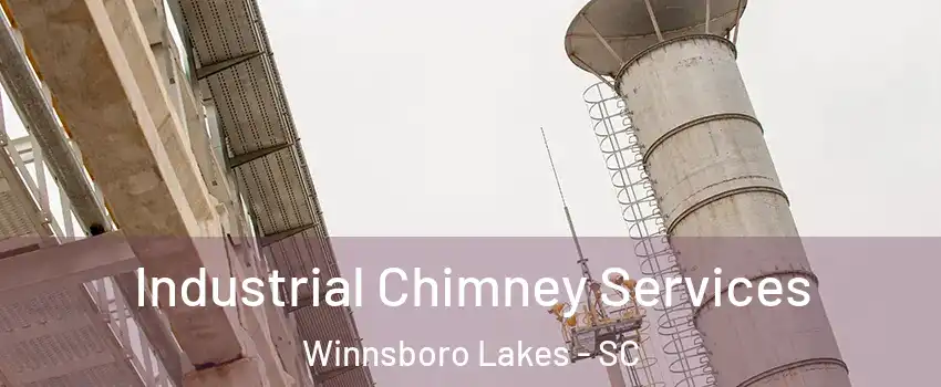 Industrial Chimney Services Winnsboro Lakes - SC