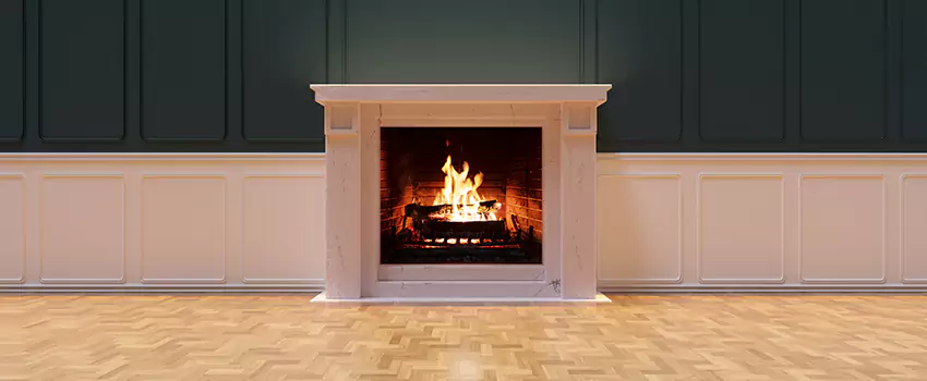 Napoleon Electric Fireplaces Inspection Service in Bridgeview, South Carolina