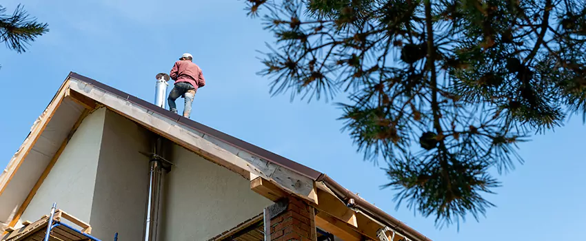 Birds Removal Contractors from Chimney in Stonefield, SC