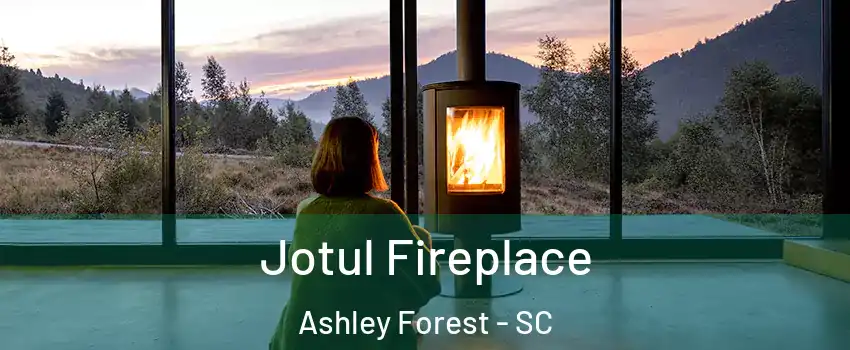 Jotul Fireplace Ashley Forest - SC