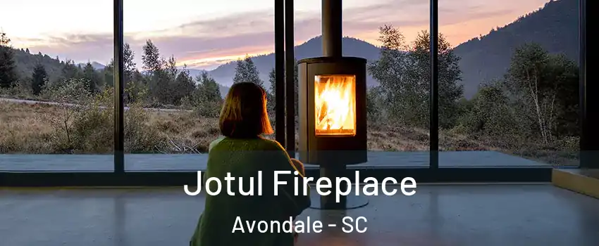 Jotul Fireplace Avondale - SC