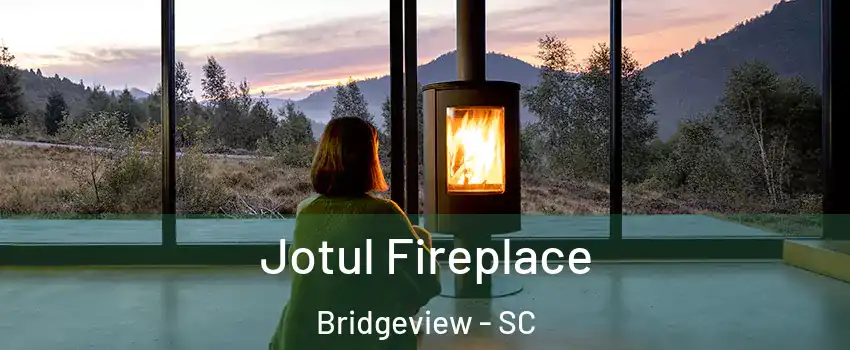 Jotul Fireplace Bridgeview - SC