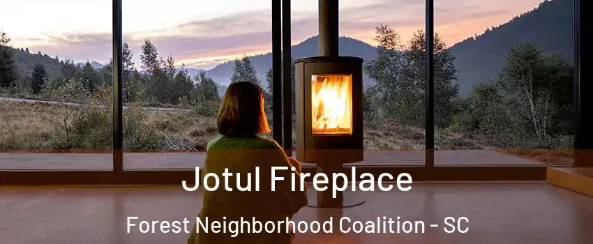 Jotul Fireplace Forest Neighborhood Coalition - SC