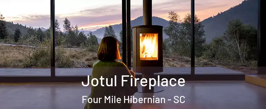 Jotul Fireplace Four Mile Hibernian - SC