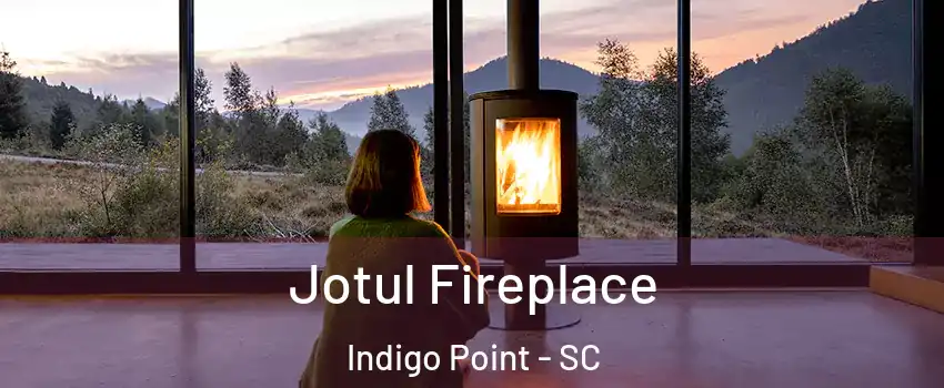 Jotul Fireplace Indigo Point - SC