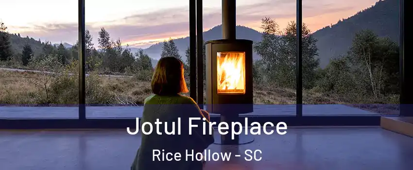 Jotul Fireplace Rice Hollow - SC