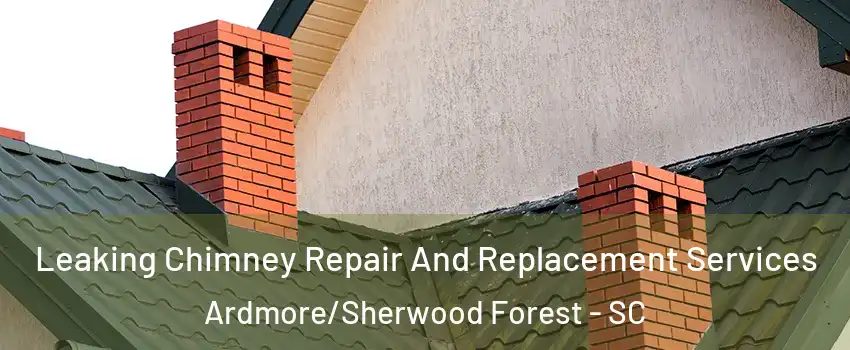 Leaking Chimney Repair And Replacement Services Ardmore/Sherwood Forest - SC