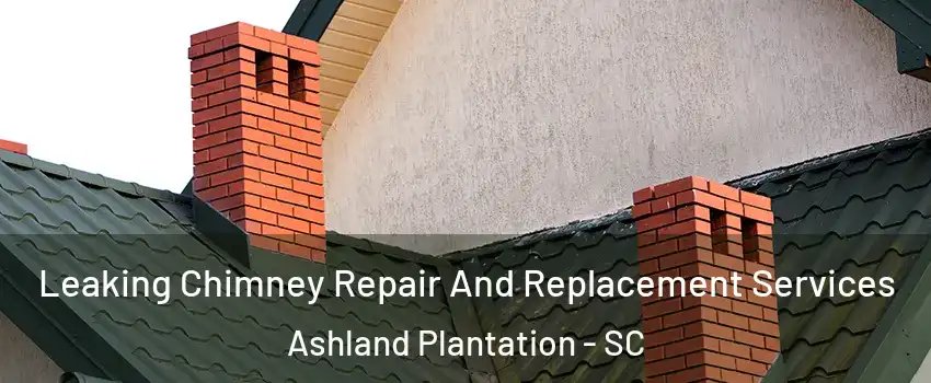 Leaking Chimney Repair And Replacement Services Ashland Plantation - SC