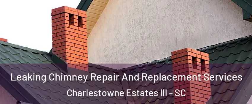 Leaking Chimney Repair And Replacement Services Charlestowne Estates III - SC